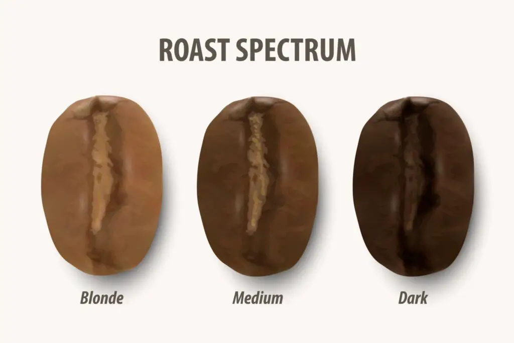 What is Blonde Roast Coffee and Why Should You Try it?