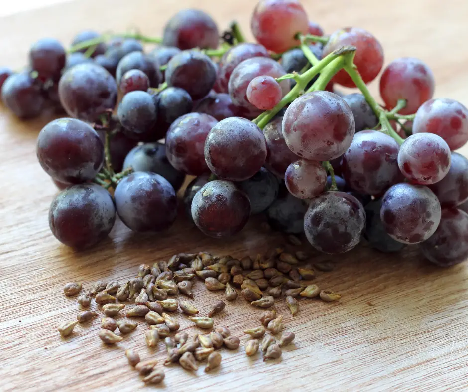 Can You Eat Grape Seeds? The Truth About Eating Grape Seeds